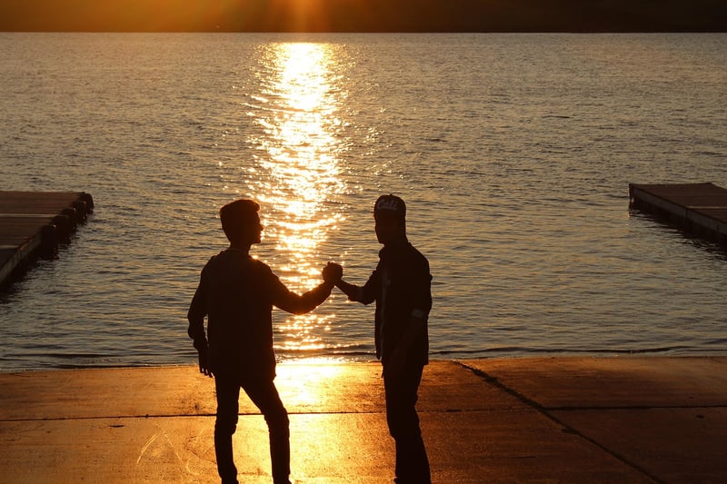 Twilight Promises